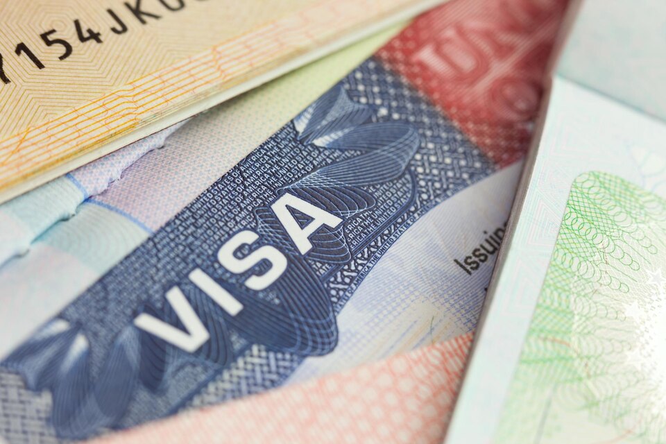 Everything You Require To Understand About Ghana Visa Fees UltimateGhana